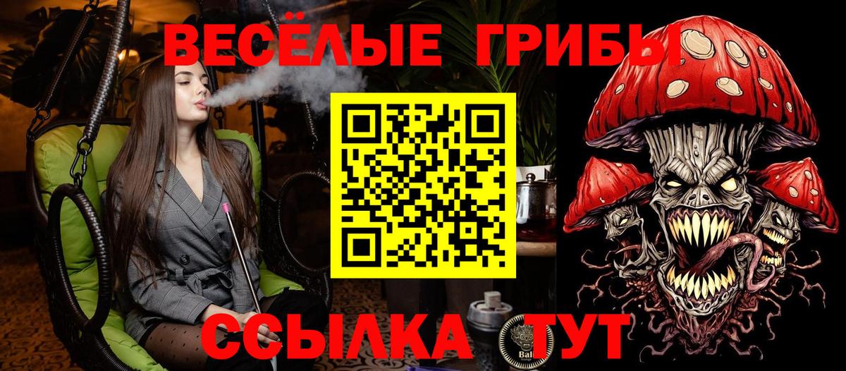 Галлюциногенные грибы мухоморы  Вход с VPN  Сертолово  Галлюциногенные грибы мицелий 